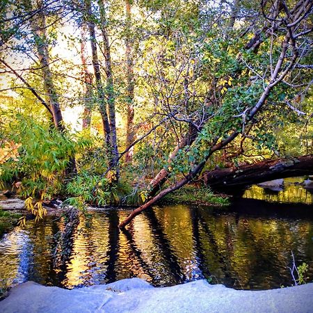 Quiet Mind Lodge, Spa & Retreat Sequoias Kernville Dış mekan fotoğraf