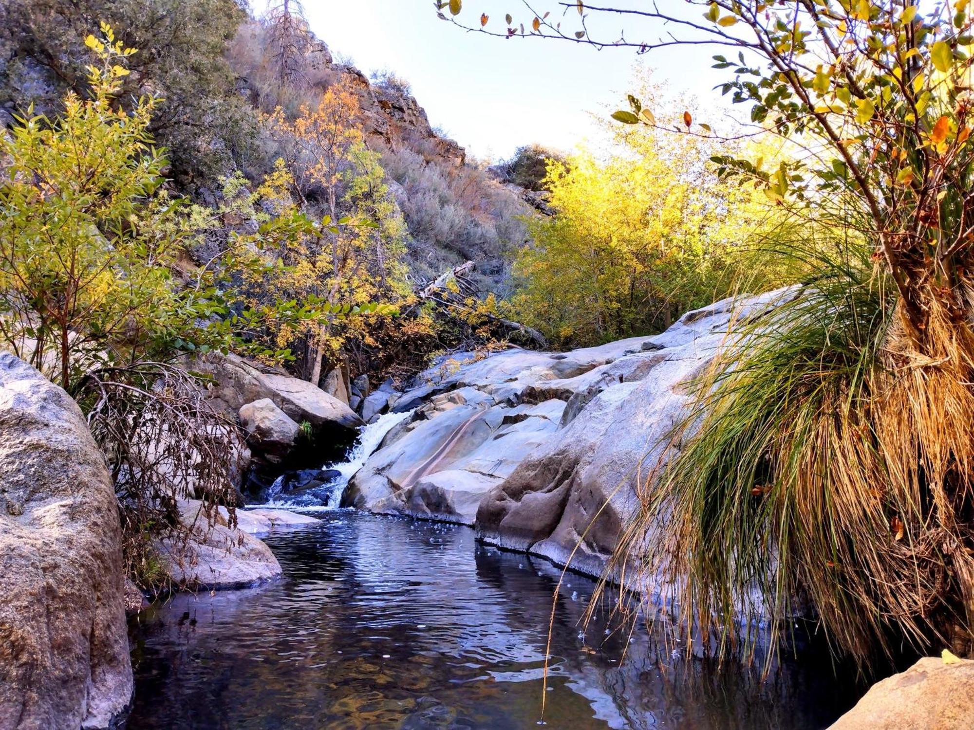 Quiet Mind Lodge, Spa & Retreat Sequoias Kernville Dış mekan fotoğraf